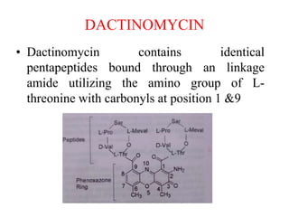 DACTINOMYCIN
• Dactinomycin contains identical
pentapeptides bound through an linkage
amide utilizing the amino group of L-
threonine with carbonyls at position 1 &9
 
