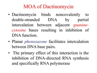 MOA of Dactinomycin
• Dactinomycin binds noncovalently to
double-stranded DNA by partial
intercalation between adjacent guanine-
cytosine bases resulting in inhibition of
DNA function.
• Planar phenoxazone facilitates intercalation
between DNA base pairs.
• The primary effect of this interaction is the
inhibition of DNA-directed RNA synthesis
and specifically RNA polymerase
 