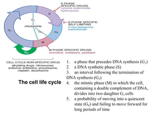 The cell life cycle
1. a phase that precedes DNA synthesis (G1)
2. a DNA synthetic phase (S)
3. an interval following the termination of
DNA synthesis (G2)
4. the mitotic phase (M) in which the cell,
containing a double complement of DNA,
divides into two daughter G1 cells
5. a probability of moving into a quiescent
state (G0) and failing to move forward for
long periods of time
 