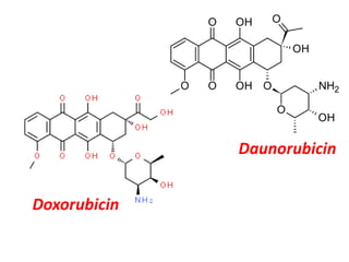Doxorubicin
Daunorubicin
 