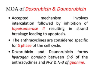 MOA of Doxorubicin & Daunorubicin
• Accepted mechanism involves
intercalation followed by inhibition of
topoisomerase II resulting in strand
breakage leading to apoptosis.
• The anthracyclines are considered specific
for S phase of the cell cycle.
• Doxorubicin and Daunorubicin forms
hydrogen bonding between O-9 of the
anthracyclines and N-2 & N-3 of guanine.
 