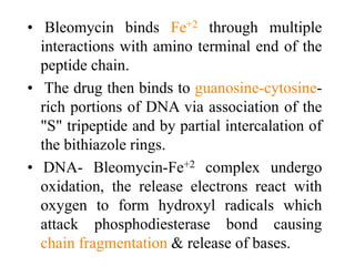 • Bleomycin binds Fe+2 through multiple
interactions with amino terminal end of the
peptide chain.
• The drug then binds to guanosine-cytosine-
rich portions of DNA via association of the
"S" tripeptide and by partial intercalation of
the bithiazole rings.
• DNA- Bleomycin-Fe+2 complex undergo
oxidation, the release electrons react with
oxygen to form hydroxyl radicals which
attack phosphodiesterase bond causing
chain fragmentation & release of bases.
 