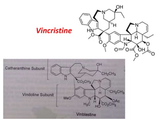 Vincristine
 
