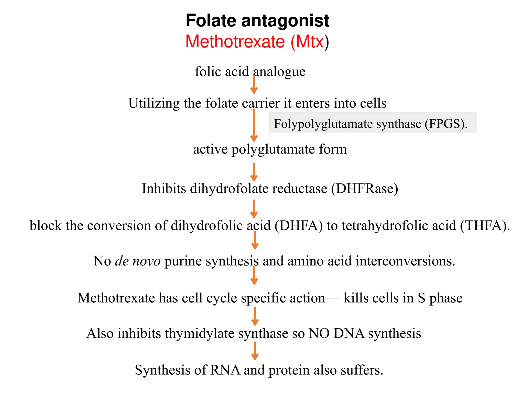 ANTICANCER drug , classification, Mechanism of action | PPT