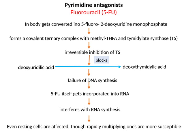 ANTICANCER drug , classification, Mechanism of action | PPT