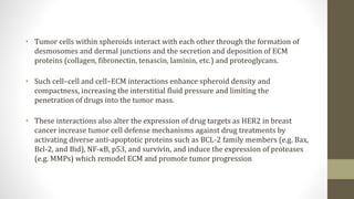 • Tumor cells within spheroids interact with each other through the formation of
desmosomes and dermal junctions and the secretion and deposition of ECM
proteins (collagen, fibronectin, tenascin, laminin, etc.) and proteoglycans.
• Such cell–cell and cell–ECM interactions enhance spheroid density and
compactness, increasing the interstitial fluid pressure and limiting the
penetration of drugs into the tumor mass.
• These interactions also alter the expression of drug targets as HER2 in breast
cancer increase tumor cell defense mechanisms against drug treatments by
activating diverse anti-apoptotic proteins such as BCL-2 family members (e.g. Bax,
Bcl-2, and Bid), NF-κB, p53, and survivin, and induce the expression of proteases
(e.g. MMPs) which remodel ECM and promote tumor progression
 