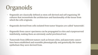 Organoids
• Organoids are classically defined as stem cell-derived and self organizing 3D
cultures that reconstitute the architecture and functionality of the tissue from
which the cells originate.
• Organoids derived from cells isolated from tumor biopsies are called ‘tumoroids’.
• Organoids from cancer specimens can be propagated in vitro and cryopreserved
indefinitely, making them an extremely useful preclinical tool.
• Tumoroids from different tumors such as breast colon, and pancreatic cancer
have been established and resemble phenotypically and genetically the tumor
epithelium they were derived from.
 