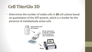 Cell TiterGlo 3D
• Determines the number of viable cells in 3D cell culture based
on quantitation of the ATP present, which is a marker for the
presence of metabolically active cells
 