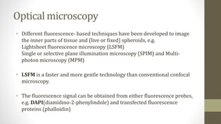 Optical microscopy
• Different fluorescence- based techniques have been developed to image
the inner parts of tissue and (live or fixed) spheroids, e.g.
Lightsheet fluorescence microscopy (LSFM)
Single or selective plane illumination microscopy (SPIM) and Multi-
photon microscopy (MPM)
• LSFM is a faster and more gentle technology than conventional confocal
microscopy.
• The fluorescence signal can be obtained from either fluorescence probes,
e.g. DAPI(diamidino-2-phenylindole) and transfected fluorescence
proteins (phalloidin)
 