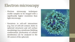 Electron microscopy
• Electron microscopy techniques
enable samples to be imaged with a
significantly higher resolution than
light microscopy.
• Variations in cell–cell interactions
(e.g. loss of cell-cell contact, holes in
spheroid structure) and cell surface
morphology (e.g. membrane blebbing
condensation, perforation of cellular
membrane) can be analyzed in the
3D context of the spheroid.
 