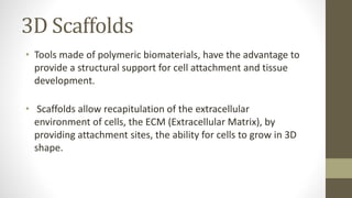 3D Scaffolds
• Tools made of polymeric biomaterials, have the advantage to
provide a structural support for cell attachment and tissue
development.
• Scaffolds allow recapitulation of the extracellular
environment of cells, the ECM (Extracellular Matrix), by
providing attachment sites, the ability for cells to grow in 3D
shape.
 