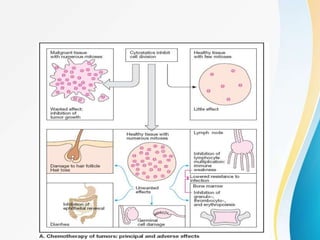 Anticancer drugs history , classification, mechanism of action and ...