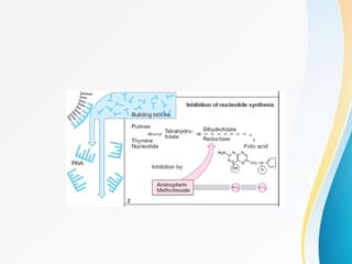 Anticancer drugs history , classification, mechanism of action and ...