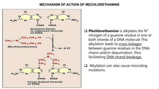 Mechlorethamine Injection Anti Cancer Drugs.pptx