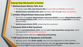 Comprehensive Overview of Anticancer Chemotherapeutic Drugs and Their ...