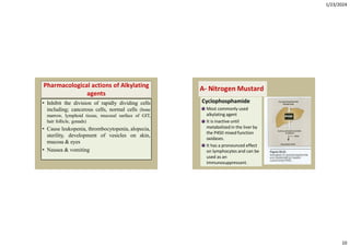 Comprehensive Overview of Anticancer Drugs and Their Mechanisms | PDF