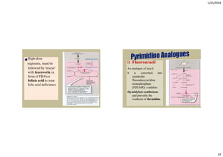 Comprehensive Overview of Anticancer Drugs and Their Mechanisms | PDF