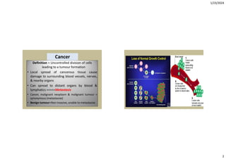 Comprehensive Overview of Anticancer Drugs and Their Mechanisms | PDF