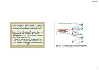 Comprehensive Overview of Anticancer Drugs and Their Mechanisms | PDF
