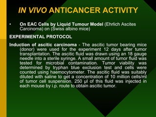 Anticancer drug screening | PPT