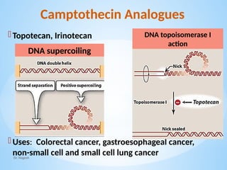 Topotecan Rash Anticancer drugs Pharmacology MBBS..pptx