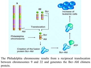 Anticancer drugs persentation | PPTX