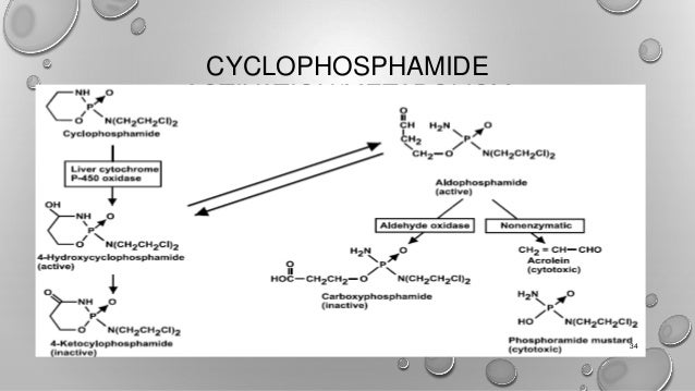 cyclophosphamide mechanism of action