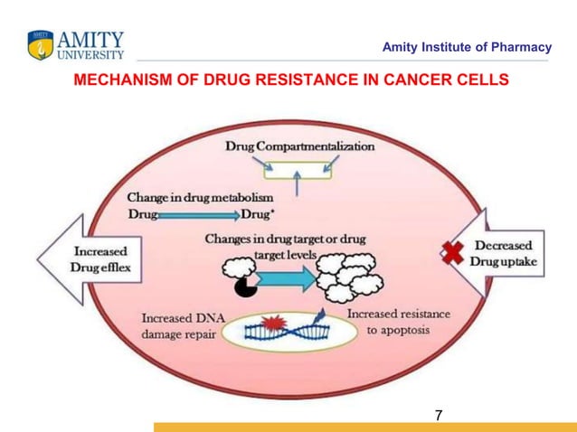 Anticancer Drug and Mechanisms of Resistance of Anticancer Drugs | PPT
