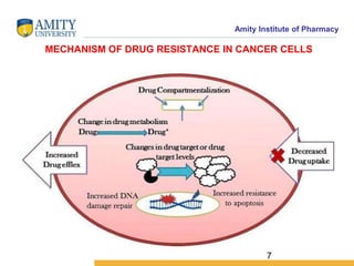 Amity Institute of Pharmacy
MECHANISM OF DRUG RESISTANCE IN CANCER CELLS
7
 