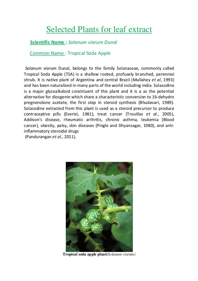 Anti cancer phd thesis