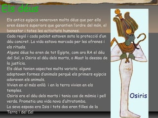 Els déus
Els antics egipcis veneraven molts déus que per ells
eren éssers superiors que garantien l’ordre del món, el
benestar i totes les activitats humanes.
Cada regió i cada poblat estaven sota la protecció d’un
déu concret. La vida estava marcada per les ofrenes i
els rituals.
Alguns déus ho eren de tot Egipte, com ara RA el déu
del Sol, o Osiris el déu dels morts, o Maat la deessa de
la justícia.
Els déus tenien aspectes molts variats; alguns
adoptaven formes d’animals perquè els primers egipcis
adoraven els animals.
Vivien en el més enllà i en la terra vivien en els
temples.
Osiris era el déu dels morts i tenia cos de mòmia i pell
verda. Prometia una vida nova d’ultratomba.
La seva esposa era Isis i tots dos eren filles de la
Terra i del Cel
 