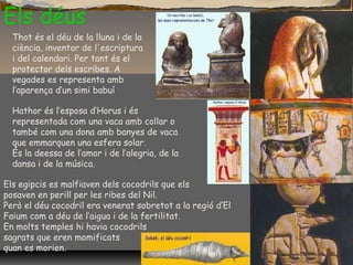 Thot és el déu de la lluna i de la
ciència, inventor de l'escriptura
i del calendari. Per tant és el
protector dels escribes. A
vegades es representa amb
l’aparença d’un simi babuí
Els déus
Hathor és l’esposa d’Horus i és
representada com una vaca amb collar o
també com una dona amb banyes de vaca
que emmarquen una esfera solar.
És la deessa de l’amor i de l’alegria, de la
dansa i de la música.
Els egipcis es malfiaven dels cocodrils que els
posaven en perill per les ribes del Nil.
Però el déu cocodril era venerat sobretot a la regió d’El
Faium com a déu de l’aigua i de la fertilitat.
En molts temples hi havia cocodrils
sagrats que eren momificats
quan es morien.
 