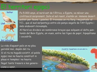 El territori egipci
Voltor
Lleó
Gat salvatge
Fa 5.000 anys, al nord-est de l’Àfrica, a Egipte, va néixer una
civilització sorprenent. Sota el sol roent, s’estén un immens desert
poblat per lleons i gaseles. El travessa un riu llarg i majestuós: el
NILNIL, que al sud serpenteja entre els penya-segats de l’Alt Egipte i
més endavant s’eixampla.
Al Nord es divideix en nombrosos braços que solquem el delta pan-
tanós del Baix Egipte, on viuen, entre les tiges de papir, hipopòtams
i cocodrils.
La vida d’aquest país on no plou
gairebé mai, depèn del riu.
Si el riu no hagués existit, el poble
egipci mai no hauria construït ni
plaus ni temples i no hauria
llegat tants tresors a les genera-
cions a venir.
 