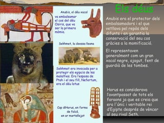 Els déus
Anubis era el protector dels
embalsamadors i el que
vetllava pel repòs dels
difunts i en garantia la
conservació del seu cos
gràcies a la momificació.
El representaven
generalment com un gran
xacal negre, ajagut, fent de
guardià de les tombes.
va embalsamar
el cos del déu
Osiris, que va
ser la primera
mòmia.
Sekhmet era invocada per a
protegir els egipcis de les
malalties. Era l’esposa de
Ptah i el seu fill, Nefertum,
era el déu lotus
Horus es considerava
l’avantpassat de tots els
faraons ja que es creia que
era l'únic i veritable rei
d’Egipte després de vèncer
al seu rival Seth.
 