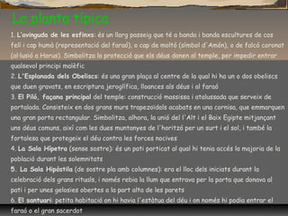 La planta típica
1. L’avinguda de les esfinxs: és un llarg passeig que té a banda i banda escultures de cos
felí i cap humà (representació del faraó), o cap de moltó (símbol d'Amón), o de falcó coronat
(al·lusió a Horus). Simbolitza la protecció que els déus donen al temple, per impedir entrar
qualsevol principi malèfic
2. L'Esplanada dels Obeliscs: és una gran plaça al centre de la qual hi ha un o dos obeliscs
que duen gravats, en escriptura jeroglífica, lloances als déus i al faraó
3. El Piló, façana principal del temple: construcció massissa i atalussada que serveix de
portalada. Consisteix en dos grans murs trapezoïdals acabats en una cornisa, que emmarquen
una gran porta rectangular. Simbolitza, alhora, la unió del l'Alt i el Baix Egipte mitjançant
uns déus comuns, així com les dues muntanyes de l'horitzó per un surt i el sol, i també la
fortalesa que protegeix el déu contra les forces nocives
4. La Sala Hípetra (sense sostre): és un pati porticat al qual hi tenia accés la majoria de la
població durant les solemnitats
5. La Sala Hipòstila (de sostre pla amb columnes): era el lloc dels iniciats durant la
celebració dels grans rituals, i només rebia la llum que entrava per la porta que donava al
pati i per unes gelosies obertes a la part alta de les parets
6. El santuari: petita habitació on hi havia l'estàtua del déu i on només hi podia entrar el
faraó o el gran sacerdot
 