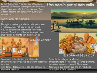 Una mòmia per al més enllàLa mort no era la fi de tot per als egipcis.
Després de la mort començava una nova vida
al país dels déus. Però el cos del mort havia
d’estar sempre ben conservat: s’havia de
momificar.
CAP EL MÓN DELS MORTS

Els egipcis creien que el món dels morts era
a l’esquerra del Nil, per on es pon el sol.
Allí, els egipcis rics construïen les seves
tombes. També era el lloc on transportaven
amb vaixell els morts per momificar-los
ELS ÒRGANS DE LA VIDA
Eren sacerdots. Sabien que els morts
enterrats a la sorra seca del desert quedaven
intactes.
Així doncs, dessecaven el cos per obtenir-ne
el mateix resultat.
ELS EMBALSAMADORS
Després de netejar bé el mort, els
embalsamadors li treien les vísceres: pulmons,
intestins, estómac i cervell. El cor no el
tocaven ja que creien que era on residia la
intel·ligència i els sentiments
 