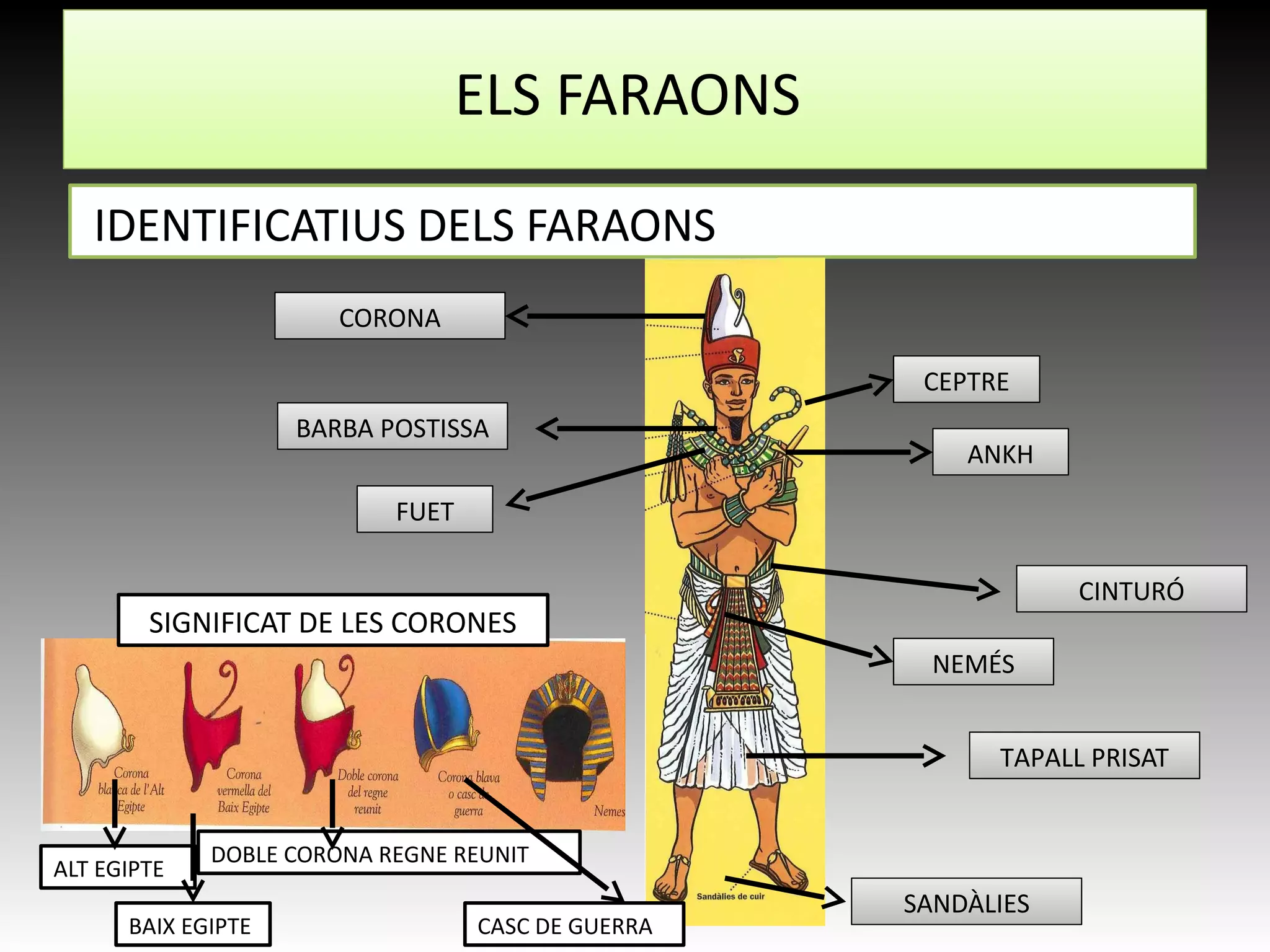 ELS FARAONS
IDENTIFICATIUS DELS FARAONS
TAPALL PRISAT
CINTURÓ
CORONA
NEMÉS
SANDÀLIES
BARBA POSTISSA
FUET
CEPTRE
ANKH
SIGNIFICAT DE LES CORONES
ALT EGIPTE
BAIX EGIPTE
DOBLE CORONA REGNE REUNIT
CASC DE GUERRA
 