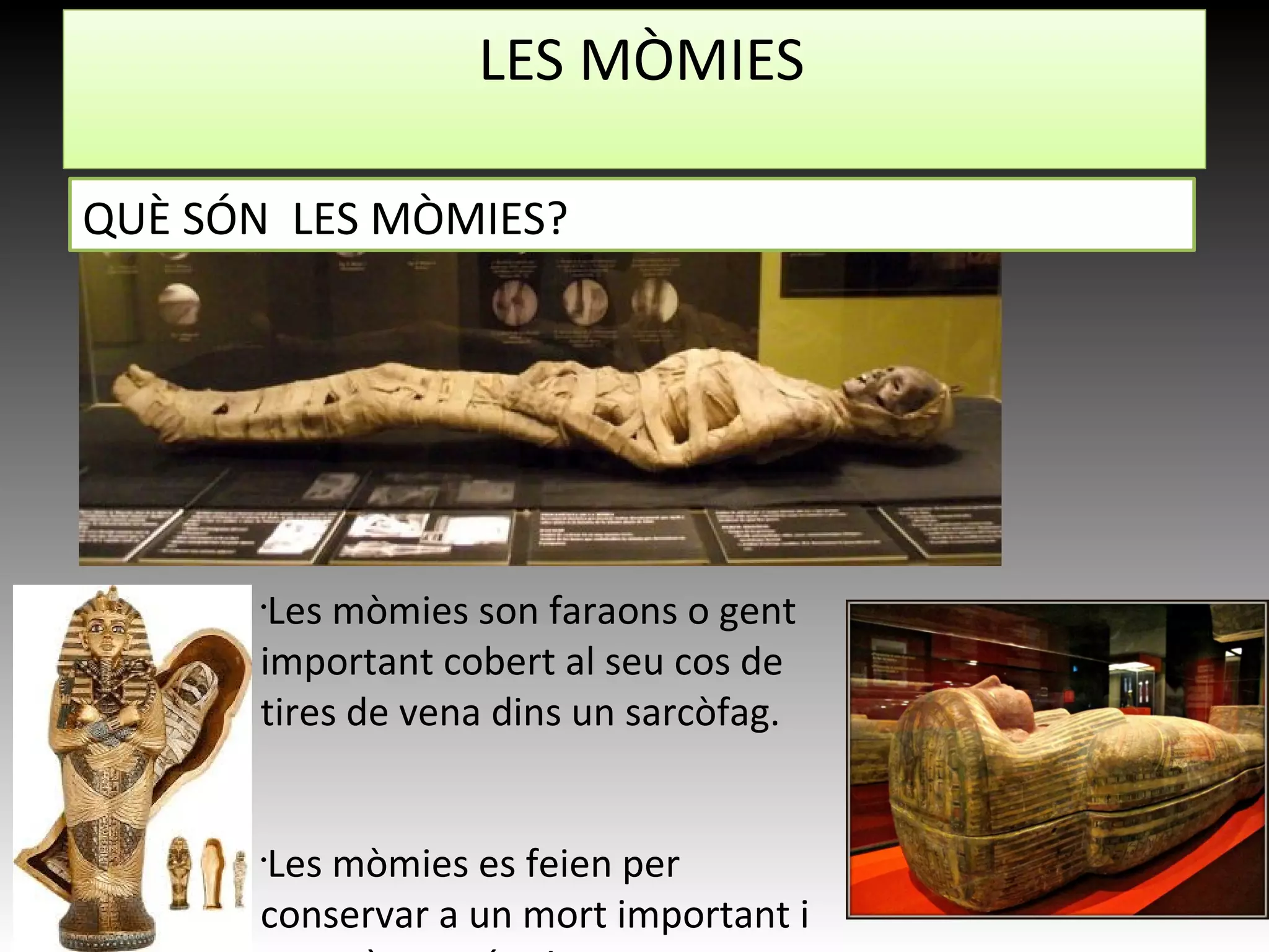LES MÒMIES
•
Les mòmies son faraons o gent
important cobert al seu cos de
tires de vena dins un sarcòfag.
•
Les mòmies es feien per
conservar a un mort important i
QUÈ SÓN LES MÒMIES?
 