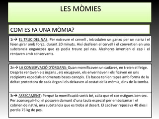 LES MÒMIES
COM ES FA UNA MÒMIA?
1r EL TRUC DEL NAS. Per extreure el cervell , introduïen un ganxo per un nariu i el
feien girar amb força, durant 20 minuts. Així desfeien el cervell i el convertien en una
substancia enganxosa que es podia treure pel nas. Aleshores invertien el cap i el
rentaven amb conservants.
2n LA CONSERVACIÓ D’ÒRGANS: Quan momificaven un cadàver, en treien el fetge.
Després rentaven els òrgans , els eixugaven, els enverinaven i els ficaven en uns
recipients especials anomenats basos canopis. Els basos tenien tapes amb forma de la
deïtat protectora de cada òrgan i els deixaven al costat de la mòmia, dins de la tomba.
3r ASSECAMENT: Perquè la momificació sortís bé, calia que el cos estigues ben sec.
Per aconseguir-ho, el posaven damunt d’una taula especial per embalsamar i el
cobrien de natró, una substancia que es troba al desert. El cadàver reposava 40 dies i
perdia 75 kg de pes.
 