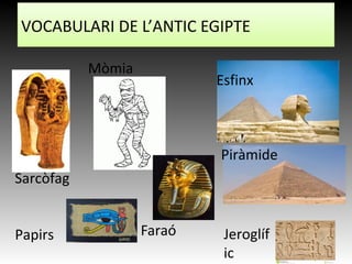Sarcòfag
Mòmia
Esfinx
Jeroglíf
ic
Papirs Faraó
Piràmide
VOCABULARI DE L’ANTIC EGIPTE
 