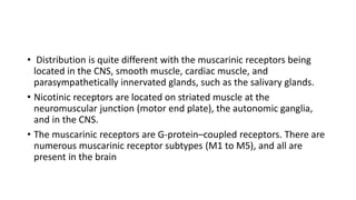 • Distribution is quite different with the muscarinic receptors being
located in the CNS, smooth muscle, cardiac muscle, and
parasympathetically innervated glands, such as the salivary glands.
• Nicotinic receptors are located on striated muscle at the
neuromuscular junction (motor end plate), the autonomic ganglia,
and in the CNS.
• The muscarinic receptors are G-protein–coupled receptors. There are
numerous muscarinic receptor subtypes (M1 to M5), and all are
present in the brain
 