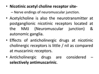 • Nicotinic acetyl choline receptor site-
– Nerve endings of neuromuscular junction.
• Acetylcholine is also the neurotransmitter at
postganglionic nicotinic receptors located at
the NMJ (Neuromuscular junction) &
autonomic ganglia.
• Effects of anticholinergic drugs at nicotinic
cholinergic receptors is little / nil as compared
at muscarinic receptors.
• Anticholinergic drugs are considered –
selectively antimuscarinic.
 