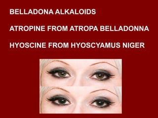 BELLADONA ALKALOIDS
ATROPINE FROM ATROPA BELLADONNA
HYOSCINE FROM HYOSCYAMUS NIGER
 