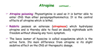 Anticholinergicas drogas en veterin.pptx