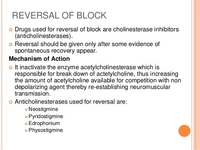 Amoxapine Drug Action