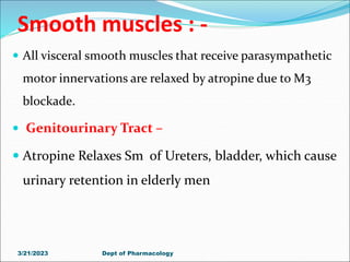 Smooth muscles : -
 All visceral smooth muscles that receive parasympathetic
motor innervations are relaxed by atropine due to M3
blockade.
 Genitourinary Tract –
 Atropine Relaxes Sm of Ureters, bladder, which cause
urinary retention in elderly men
3/21/2023 Dept of Pharmacology
 