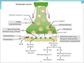 3/21/2023 Dept of Pharmacology
 