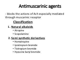 Antimuscarinic agents
- blocks the actions of Ach especially mediated
through muscarinic receptor
Classification
1. Natural alkaloids
• Atropine
• Scopolamine
2. Semi synthetic derivatives
• Homatropine
• Ipratropium bromide
• Tiotropium bromide
• Hyoscine butyl bromide
 