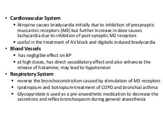 • Cardiovascular System
 Atropine causes bradycardia initially due to inhibition of presynaptic
muscarinic receptors (M2) but further increase in dose causes
tachycardia due to inhibition of post-synaptic M2 receptors
 useful in the treatment of AV block and digitalis induced bradycardia
• Blood Vessels
 has negligible effect on BP
 at high doses, has direct vasodilatory effect and also enhances the
release of histamine; may lead to hypotension
• Respiratory System
 reverse the bronchoconstriction caused by stimulation of M3 receptors
 Ipratropium and tiotropium-treatment of COPD and bronchial asthma
 Glycopyrolate is used as a pre-anaesthetic medication to decrease the
secretions and reflex bronchospasm during general anaesthesia
 