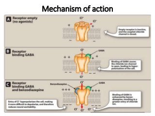 Mechanism of action
 